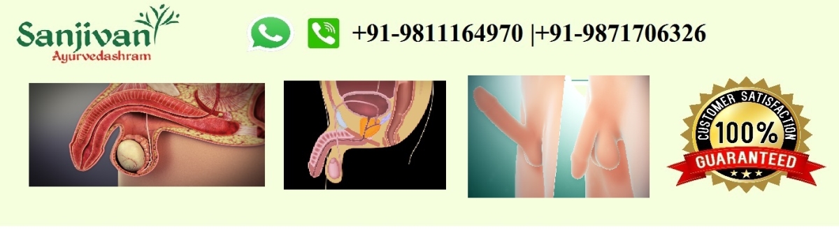 Erectile Dysfunction Ayurvedic Treatment in Mumbai